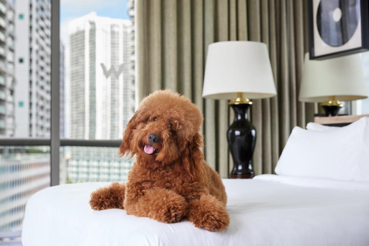 W Miami Hotel Екстериор снимка